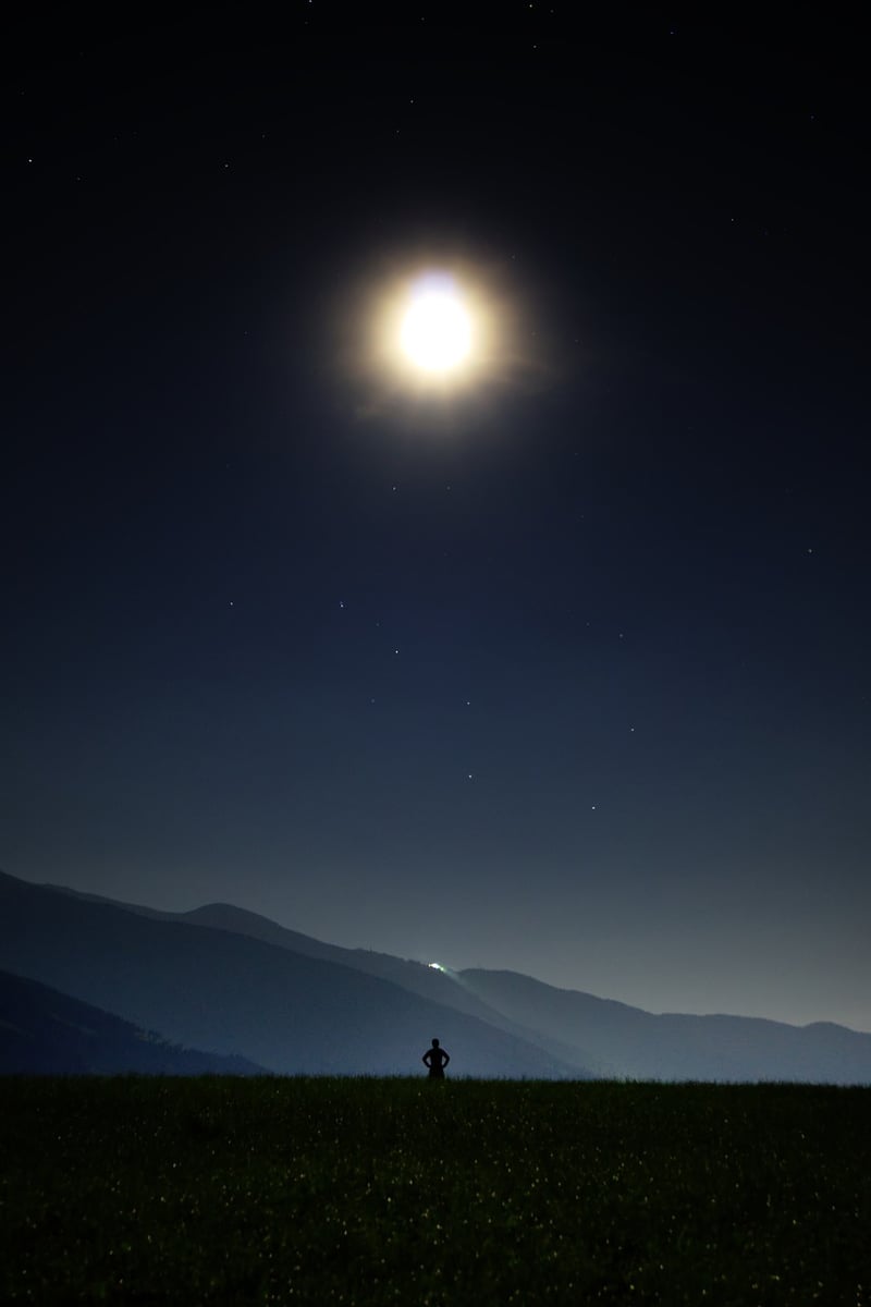 Starlit Night Sky